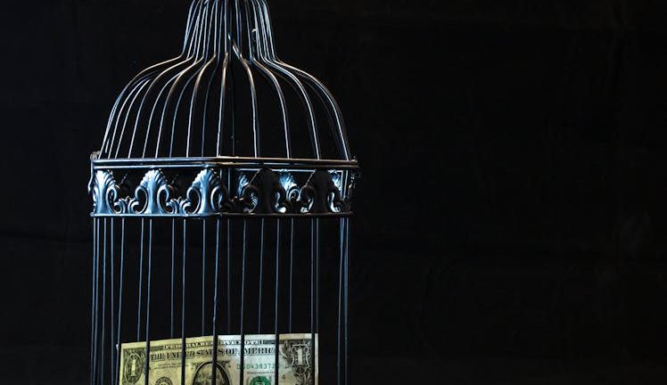 滅鼠：從現代措施回溯古代智慧的文化探索