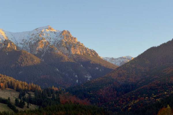 高爾夫球練習場的重要性與選擇分析