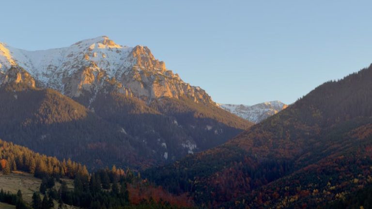 高爾夫球練習場的重要性與選擇分析
